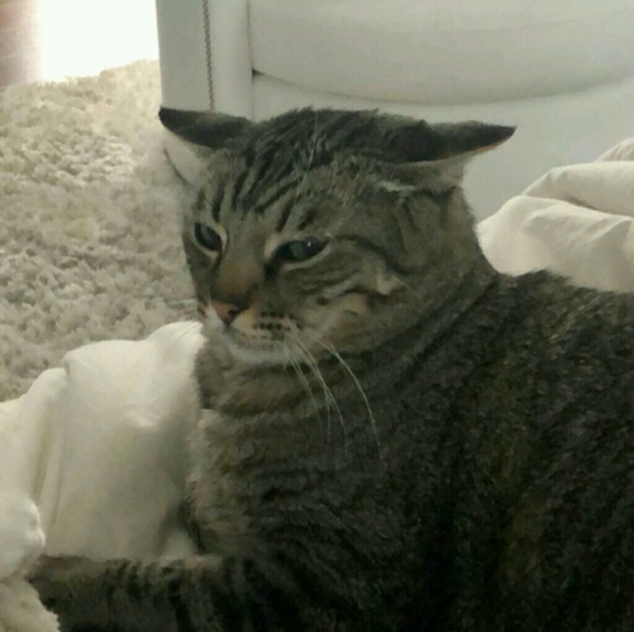 Meet your Posher, Sarah - Picture 1 of 1